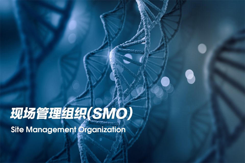 现场管理组织（Site Management Organization，，，SMO）